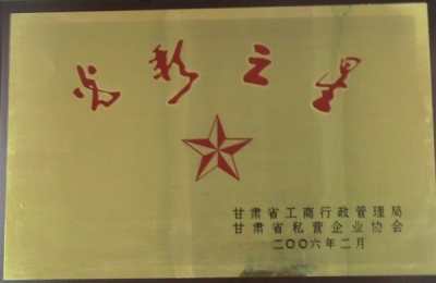 2006年光彩之星奖